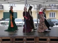 /album/karlstejn-12-12-2010/dvorska-gotika-jpg1/